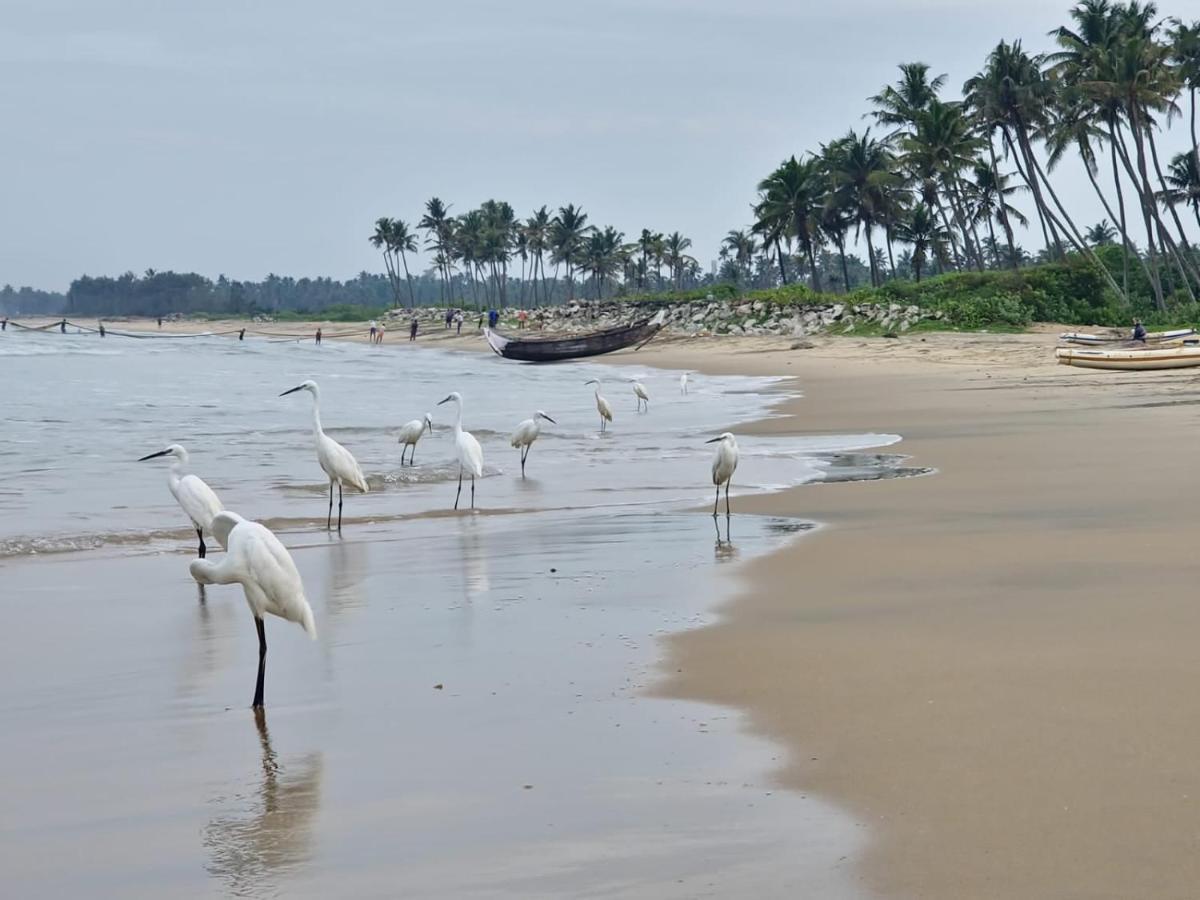 Lavender Residency Bed & Breakfast Varkala Luaran gambar